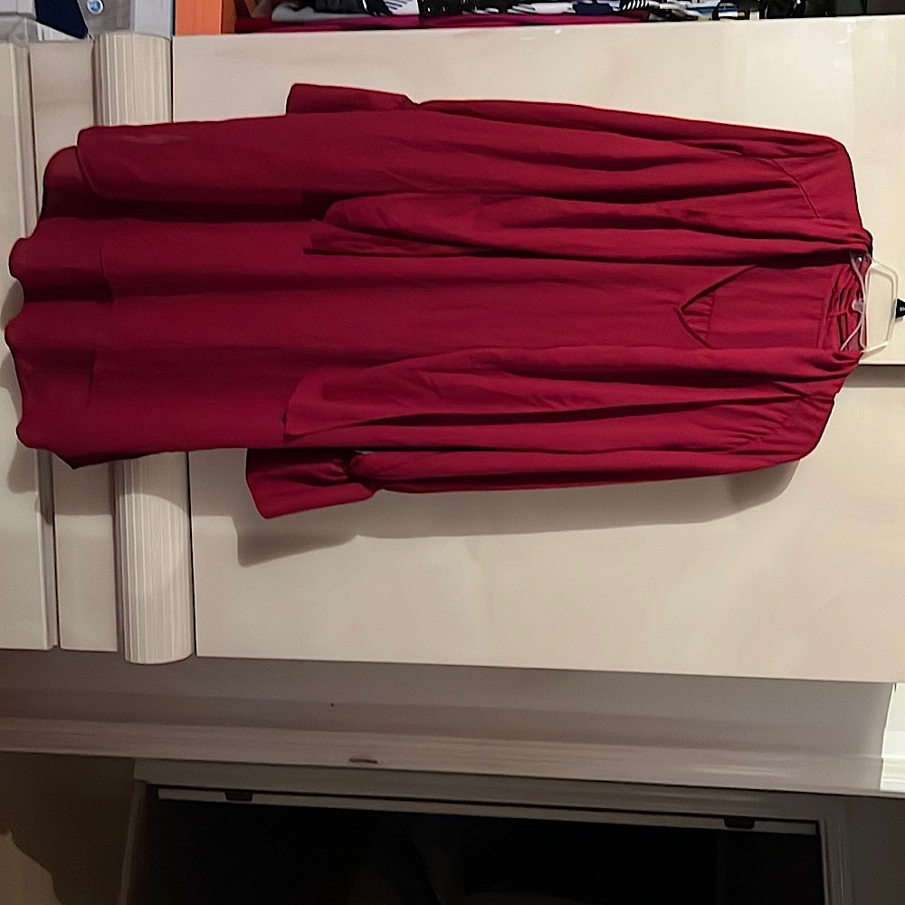 Ladies sheer dress